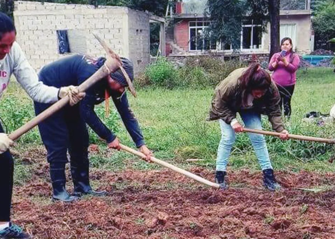 Alimentación Saludable. Desarrollo Humano promueve las Huertas Familiares y ComunitariasAlimentación Saludable.