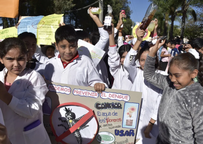 Educación. Se potencian las acciones pedagógicas para la prevención del dengueEducación.